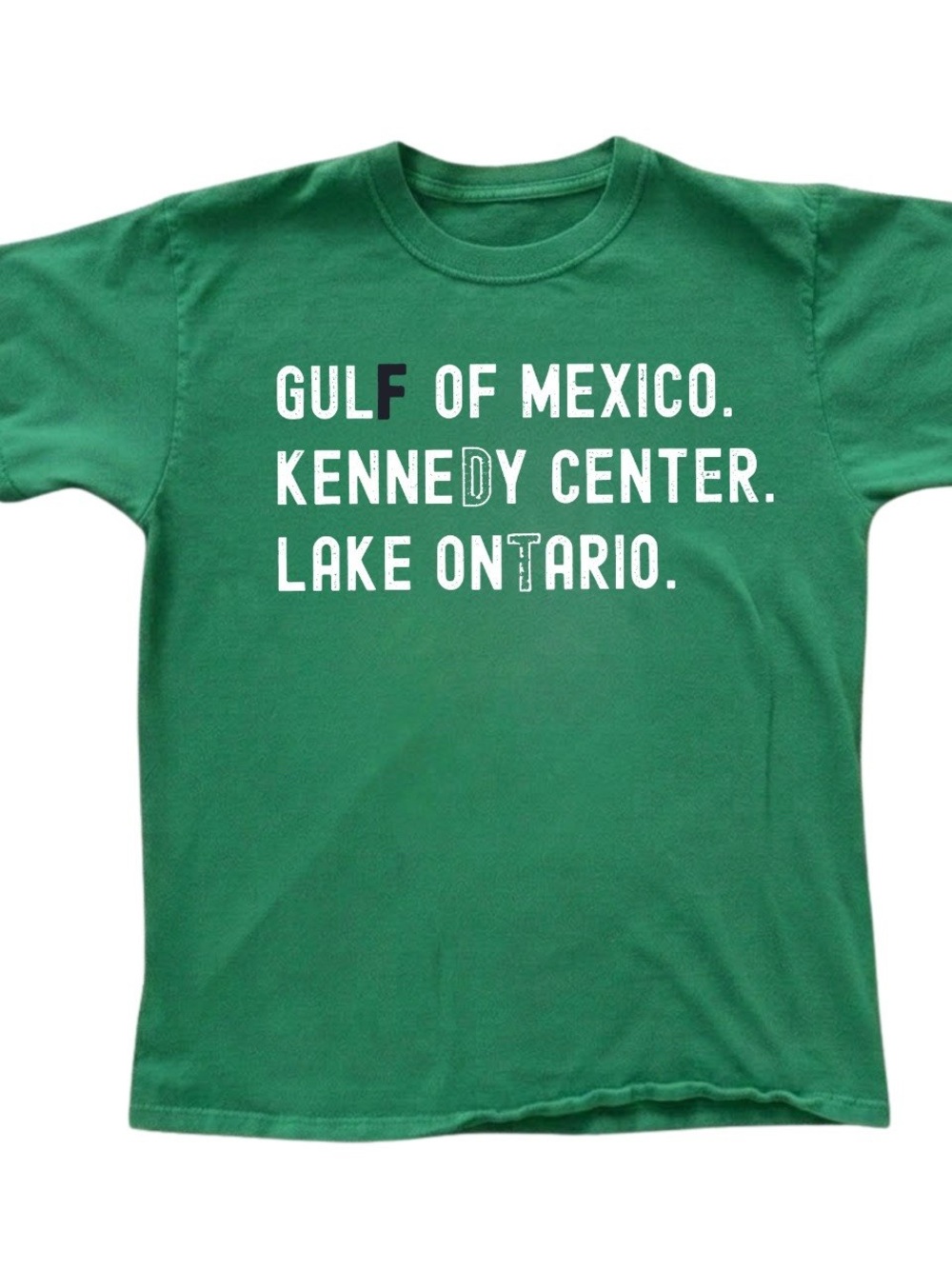 Gildan Green Short Sleeve Tee with White Text Graphic, Gift For Him, For Her